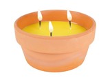 Terracotta Pot Ø 17 x 9 cm