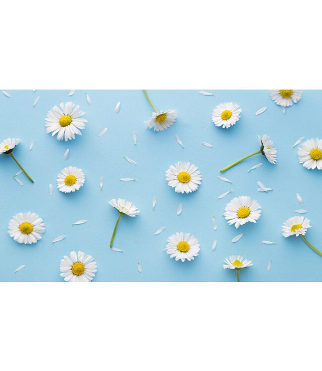 Geurolie Daisy Type - Zelf geurkaarsen - waxmelts maken