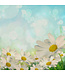 Geurolie Daisy Type - Zelf geurkaarsen - waxmelts maken