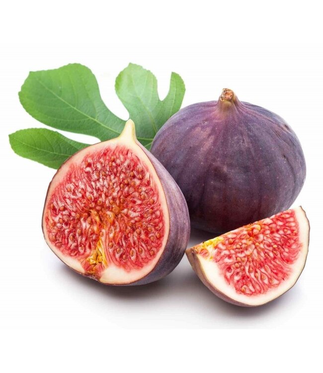 Geurolie Good Habits Wild Fig - Zelf geurkaarsen - waxmelts maken