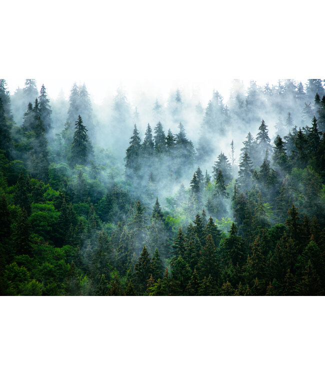 Geurolie Cashmere Woods - Zelf geurkaarsen - waxmelts maken - Copy