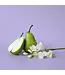 Geurolie Pear & Freesia (Type) - Zelf geurkaarsen - waxmelts maken
