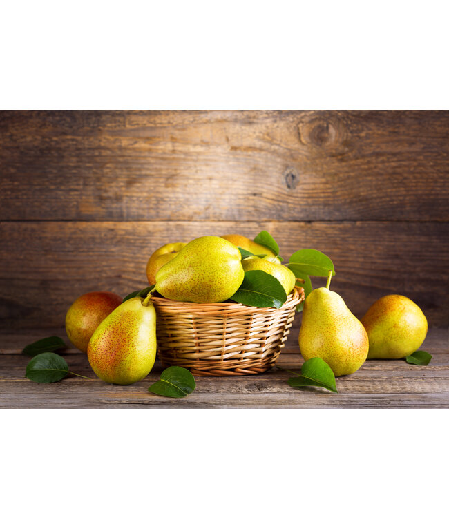 The Candleshop Collection Geurolie Autumn Pear - Zelf geurkaarsen - waxmelts maken