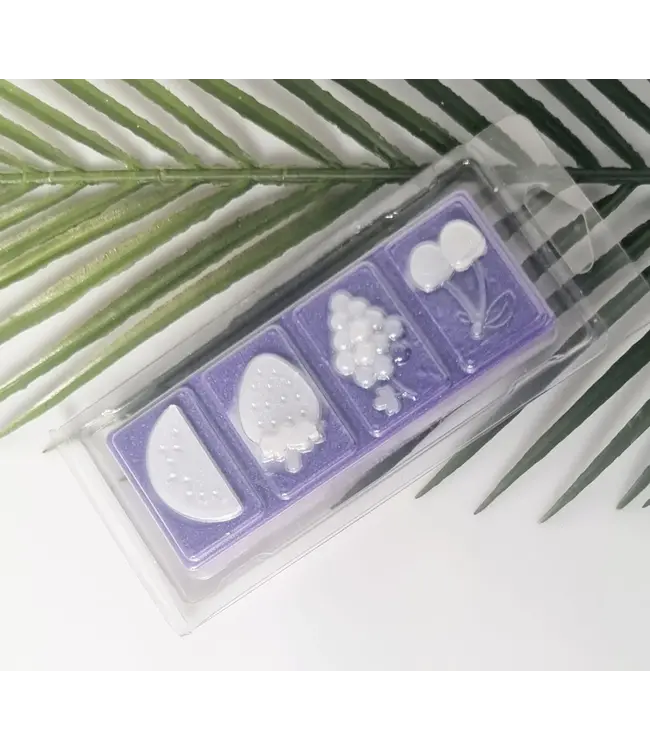 Clamshell Fruity Bar - Zelf waxmelts maken