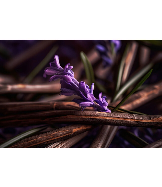 Geurolie Vanilla & Lavender - Zelf geurkaarsen - waxmelts maken