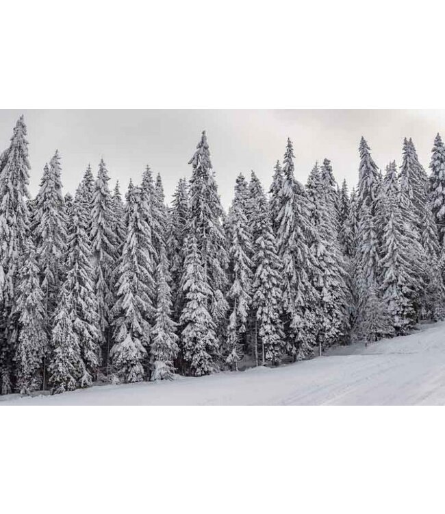 Geurolie Silver Cedarwoods - Zelf geurkaarsen - waxmelts maken