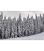 Geurolie Silver Cedarwoods - Zelf geurkaarsen - waxmelts maken