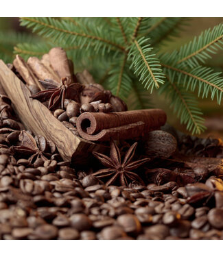 Geurolie Cinnamon Stick & Hemlock Pine