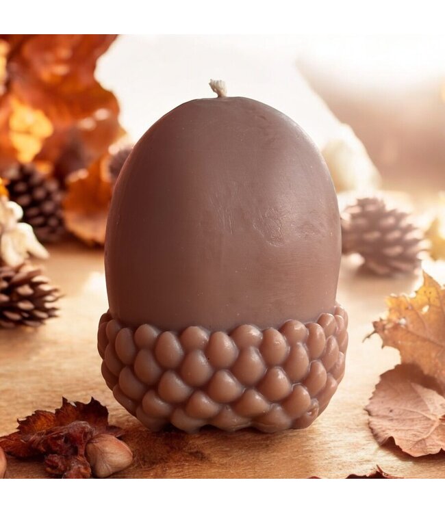 Siliconen kaarsenmal Acorn 90x82 mm - Kaarsen maken