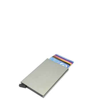 Figuretta cardprotector (pasjeshouder) zilver Figuretta