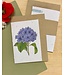 BLOOM "Your Message" Fairtrade gevouwen kaart - Hydrangea (inclusief envelop)