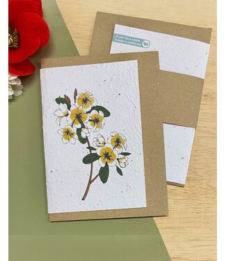 BLOOM "Your Message" Fairtrade gevouwen kaart - Blossom (inclusief envelop)