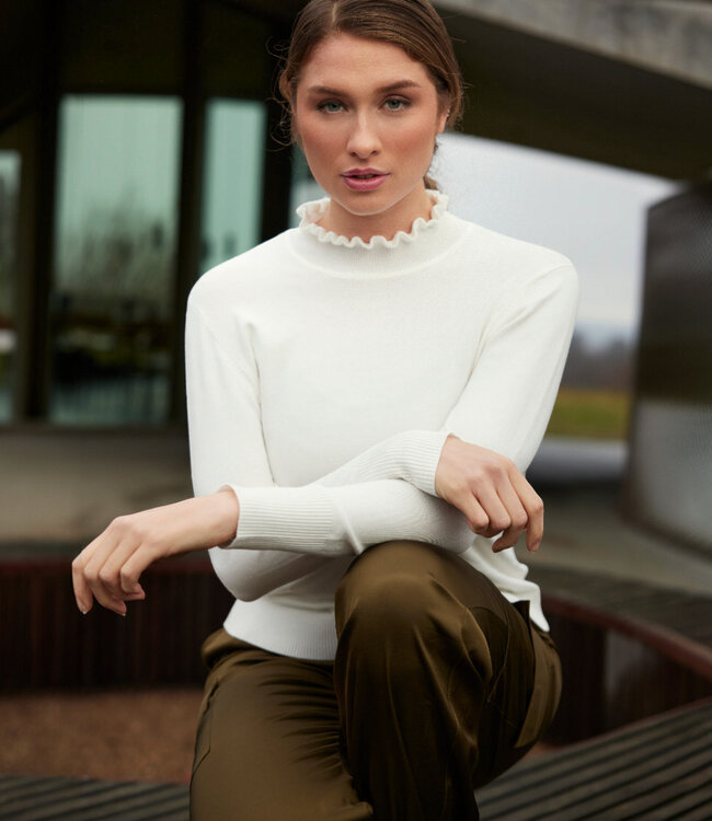 chique dames pullover turtleneck roesjes wolwit