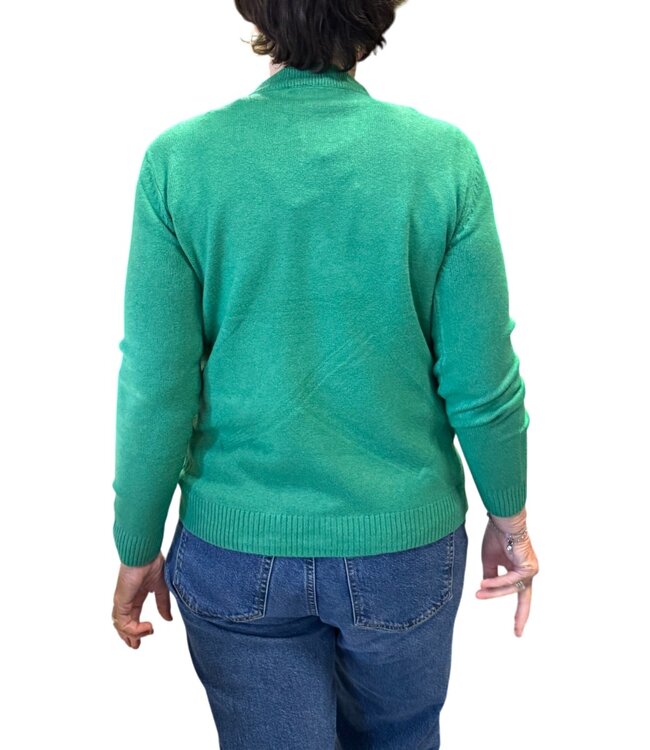 warme dames trui turtleneck golfpatroon groen