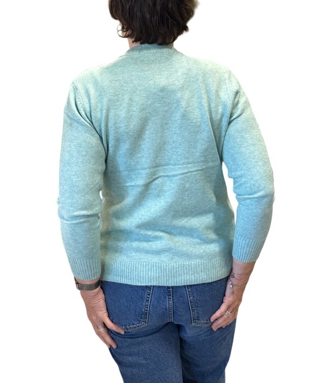 warme dames trui turtleneck wyber- patroon mintgroen