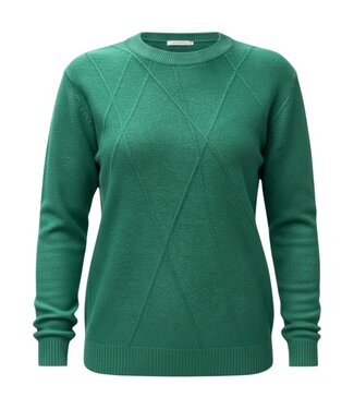 BLAUW Warme dames trui turtleneck diamant patroon mosgroen