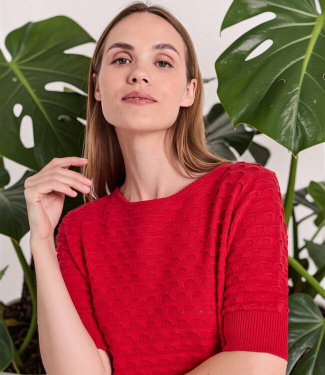 dames trui korte mouw relief Dodo rood FreeQuent