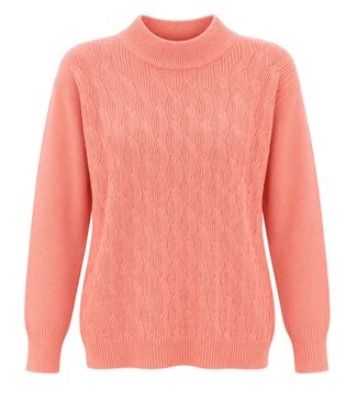 BLAUW dames trui met turtleneck ketting motief perzik