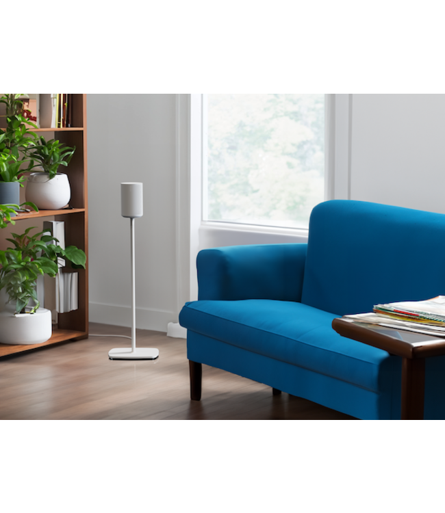 Flexson ERA100 Speaker Stand for Sonos Era 100 - Black or White (Single)