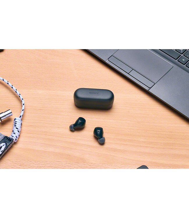 Sony WF-C510 True Wireless Headphones