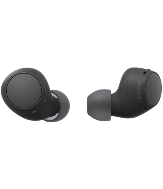 Sony WF-C510 True Wireless Headphones