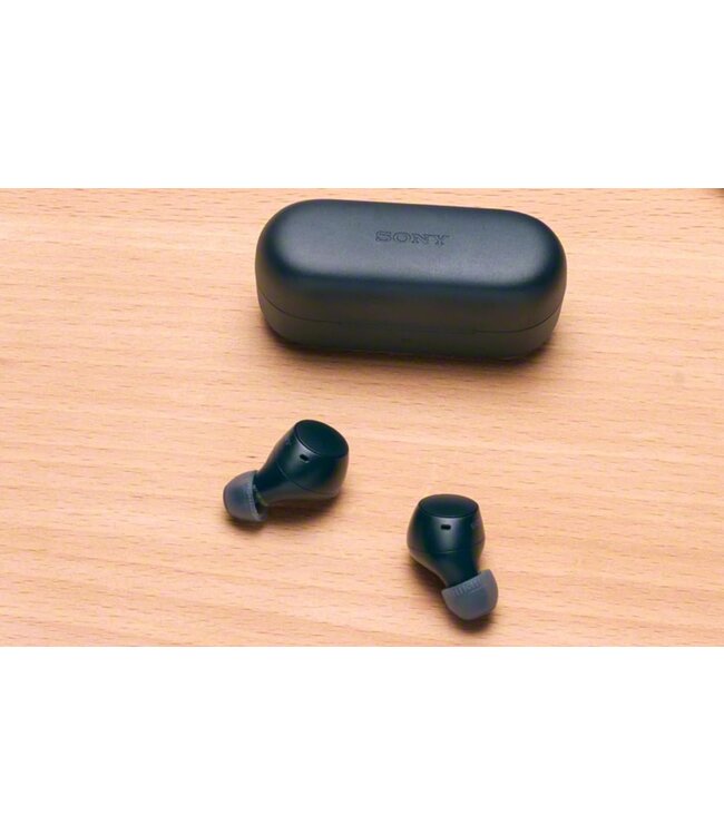 Sony WF-C510 True Wireless Headphones