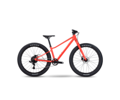 BMC BMC Twostroke AL 24