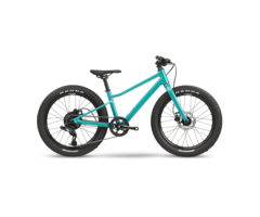 BMC BMC Twostroke AL 20