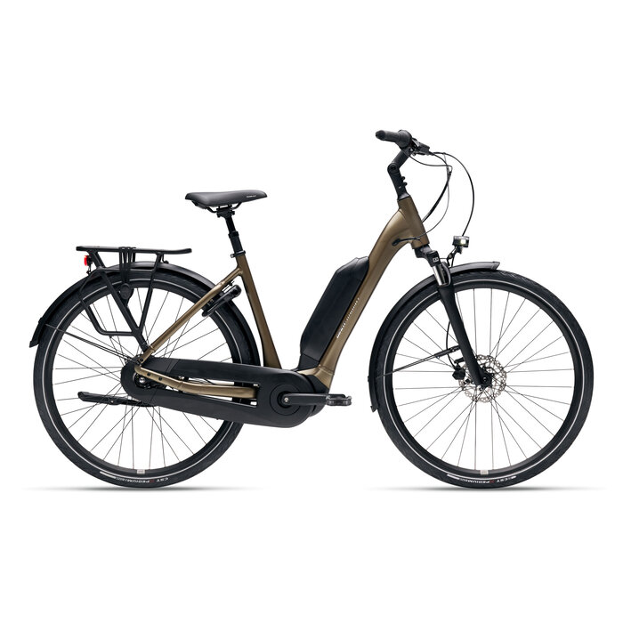 Giant Giant Expression E+ 2