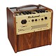Richwood Richwood RAC-50 50W Acoustic Amp