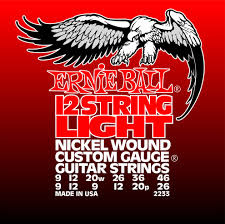 ernie ball 12 string acoustic