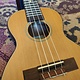 Leho  (SALE) Leho Concerto Ukulele C-CF-E w/Pickup