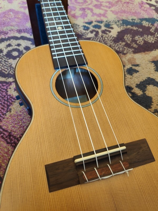 Leho  (SALE) Leho Concerto Ukulele C-CF-E w/Pickup
