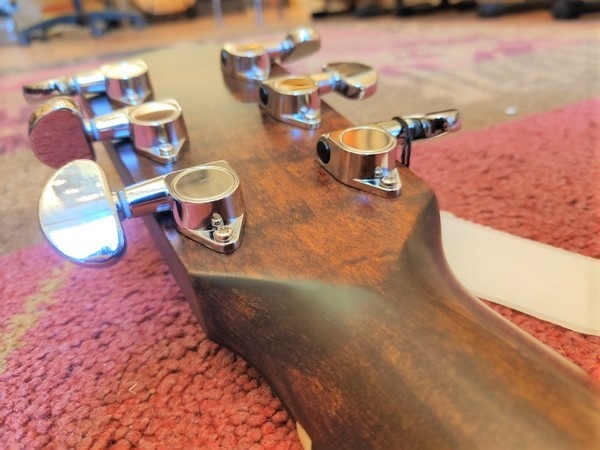 Eastman Eastman AC222CE OV Ovangkol Classic