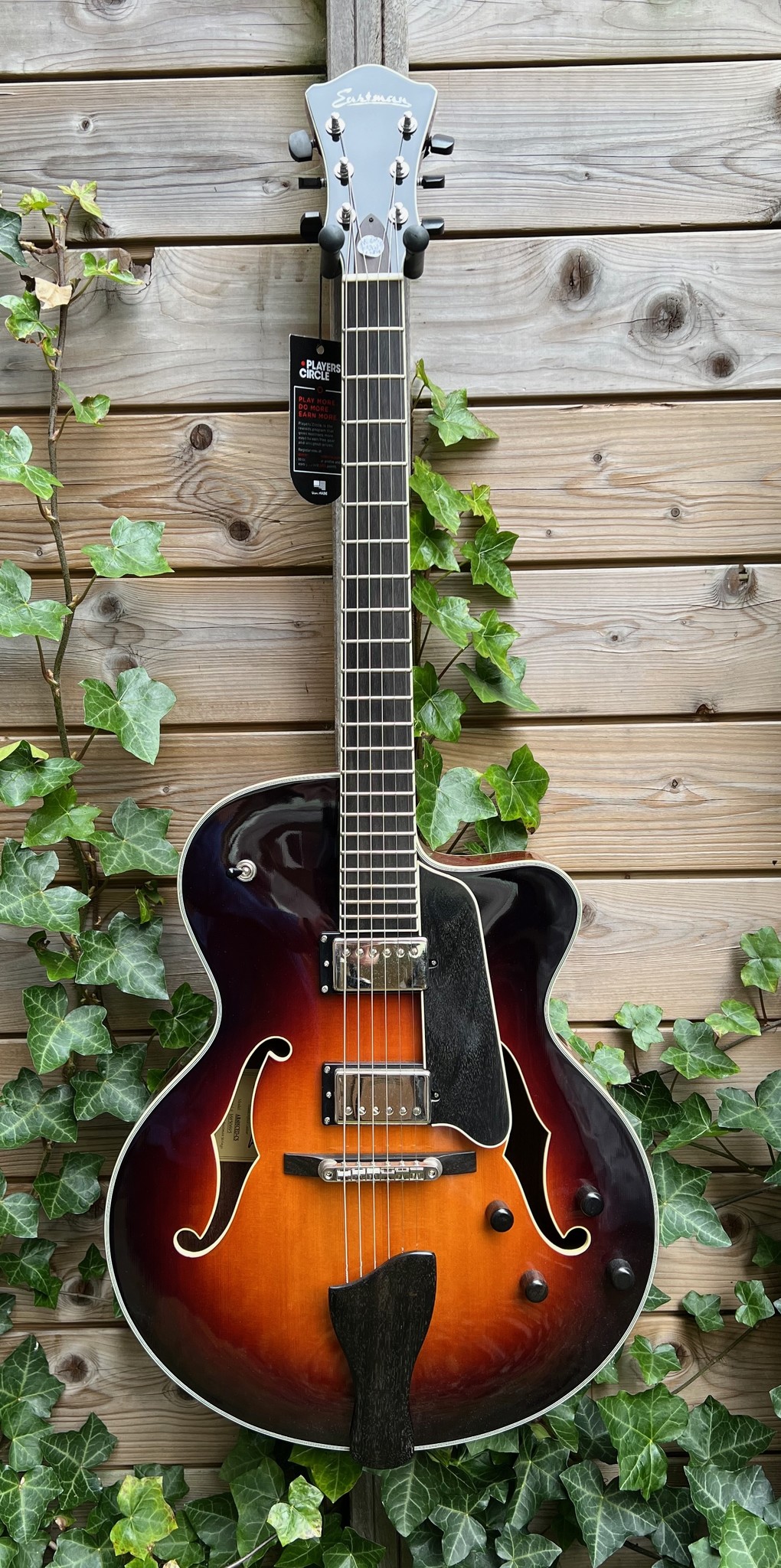 Eastman Eastman AR605-CED Sunburst