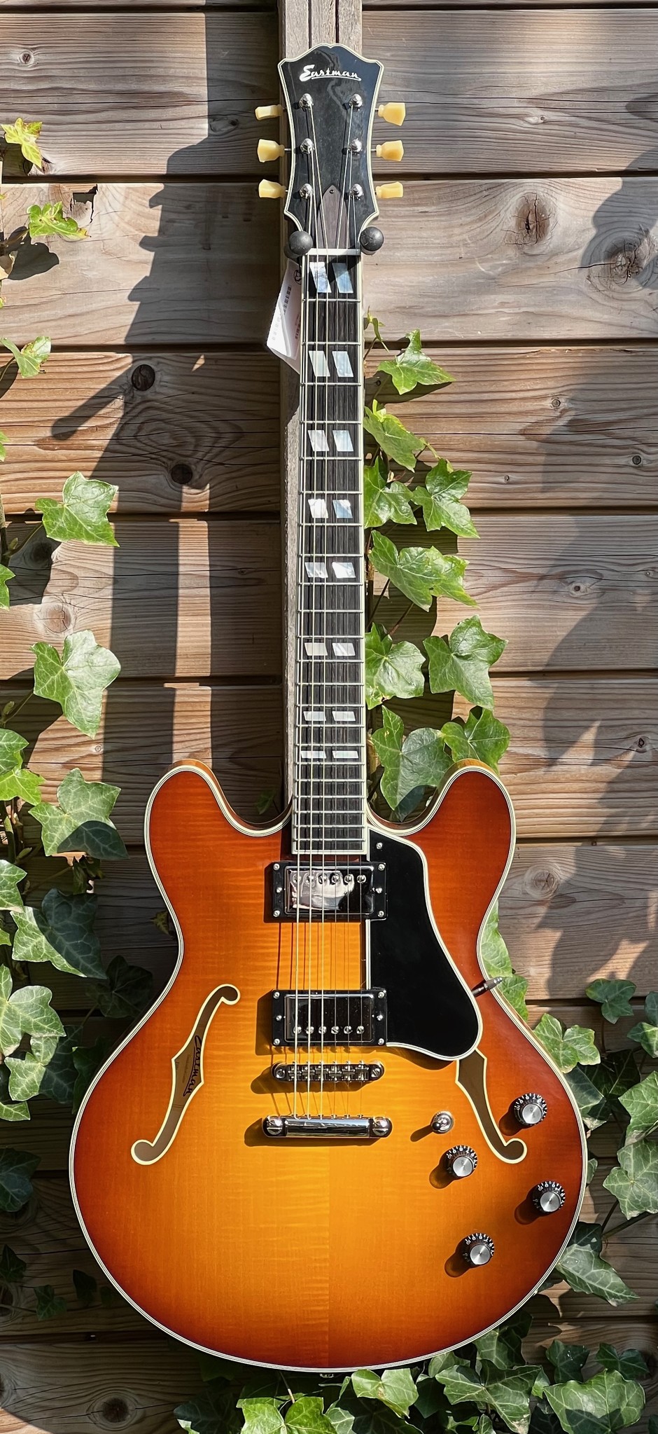 Eastman Eastman T486-GB Goldburst (#...330)