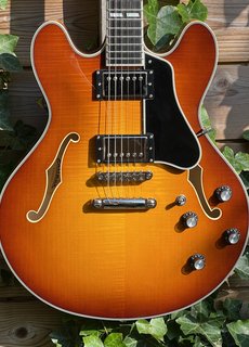 Eastman Eastman T486 GB Goldburst