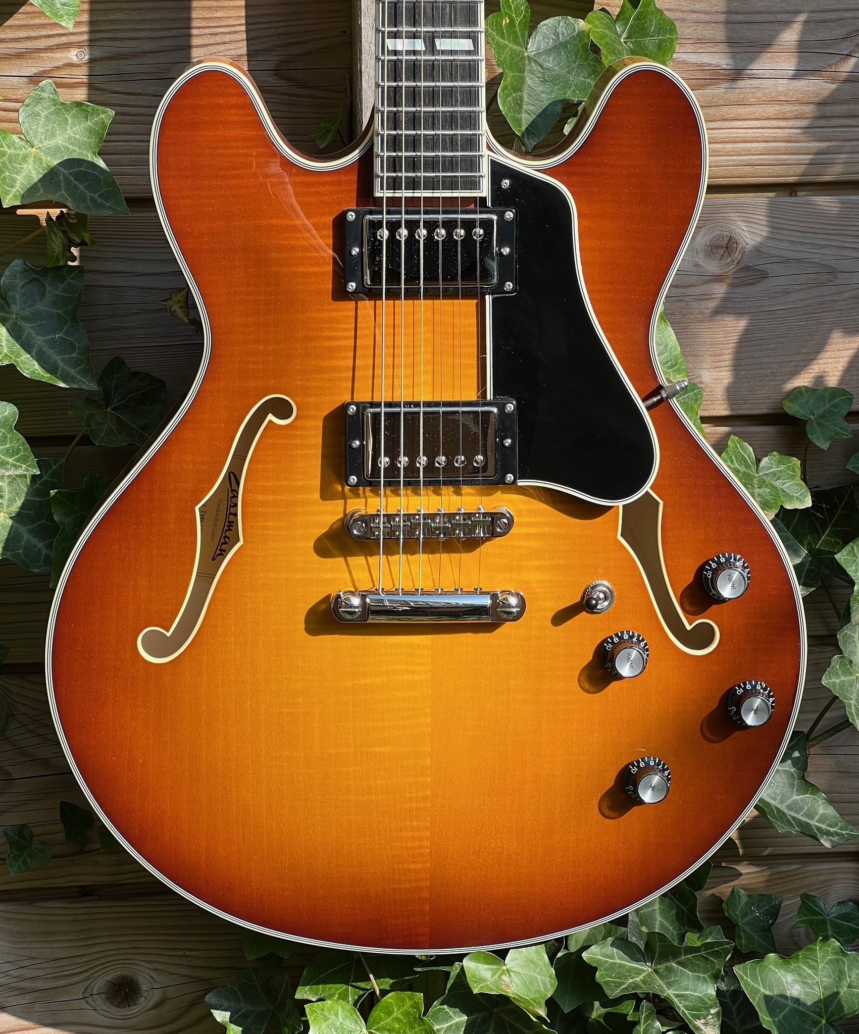 Eastman Eastman T486-GB Goldburst (#...330)
