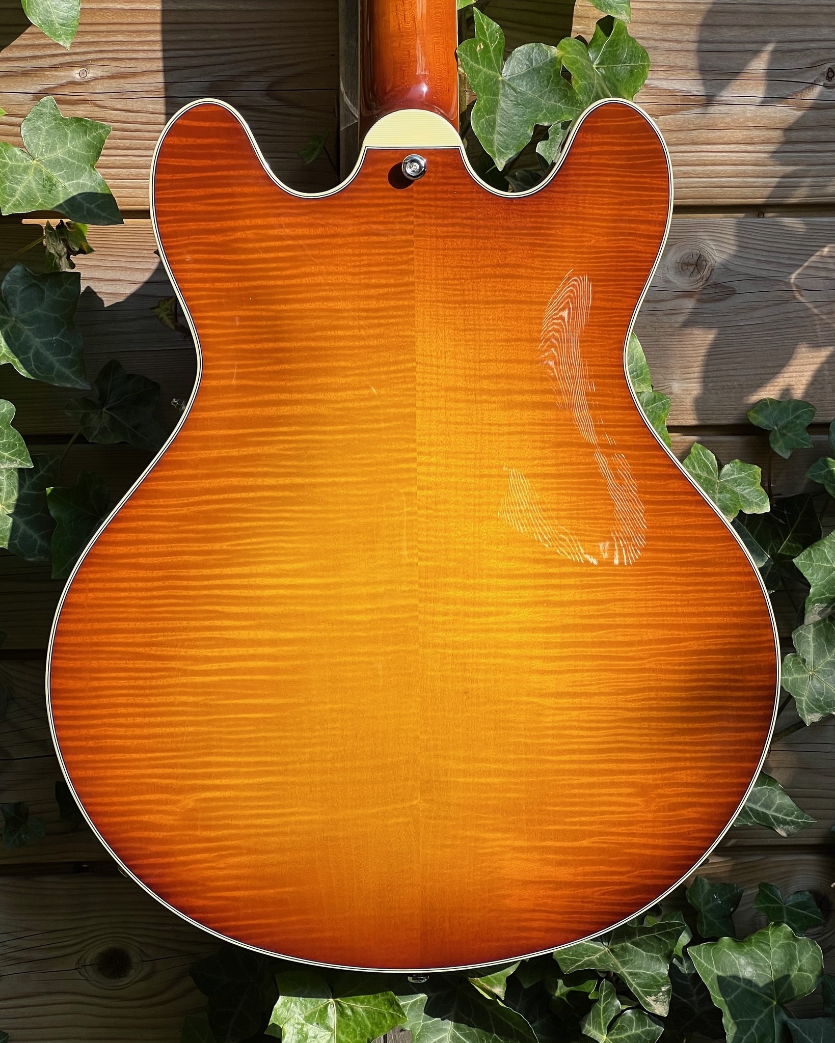 Eastman Eastman T486-GB Goldburst (#...330)