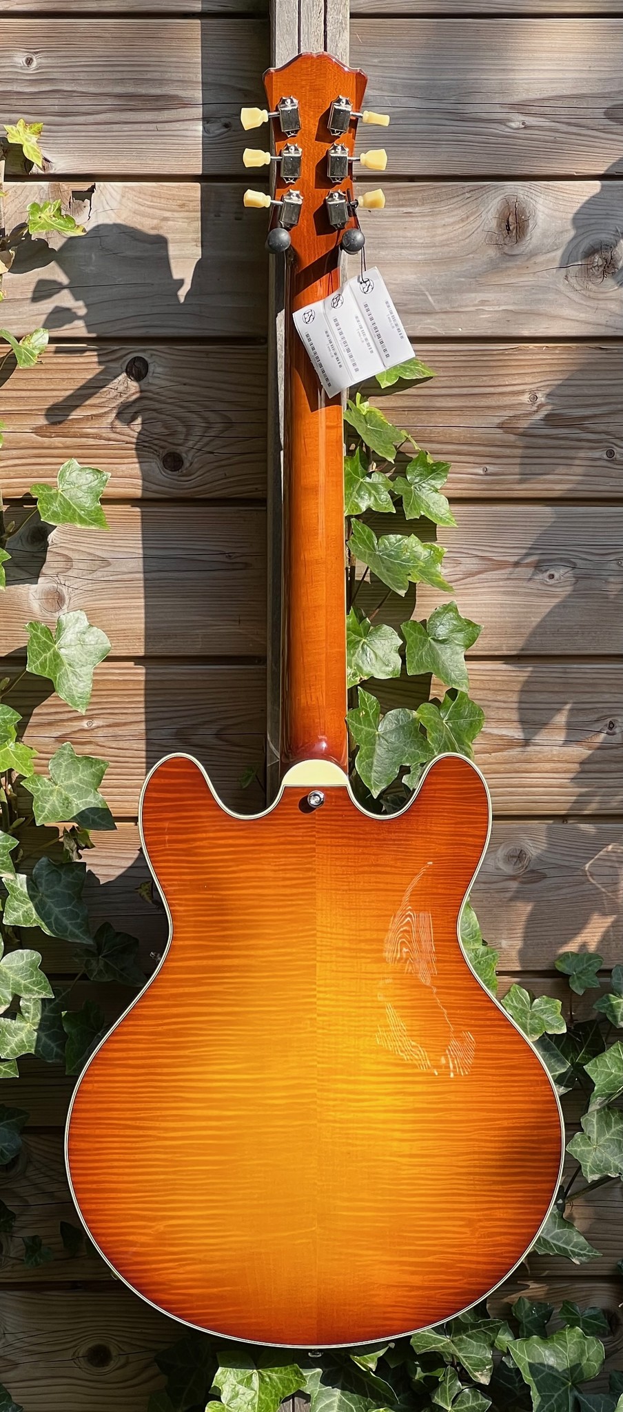 Eastman Eastman T486-GB Goldburst (#...330)