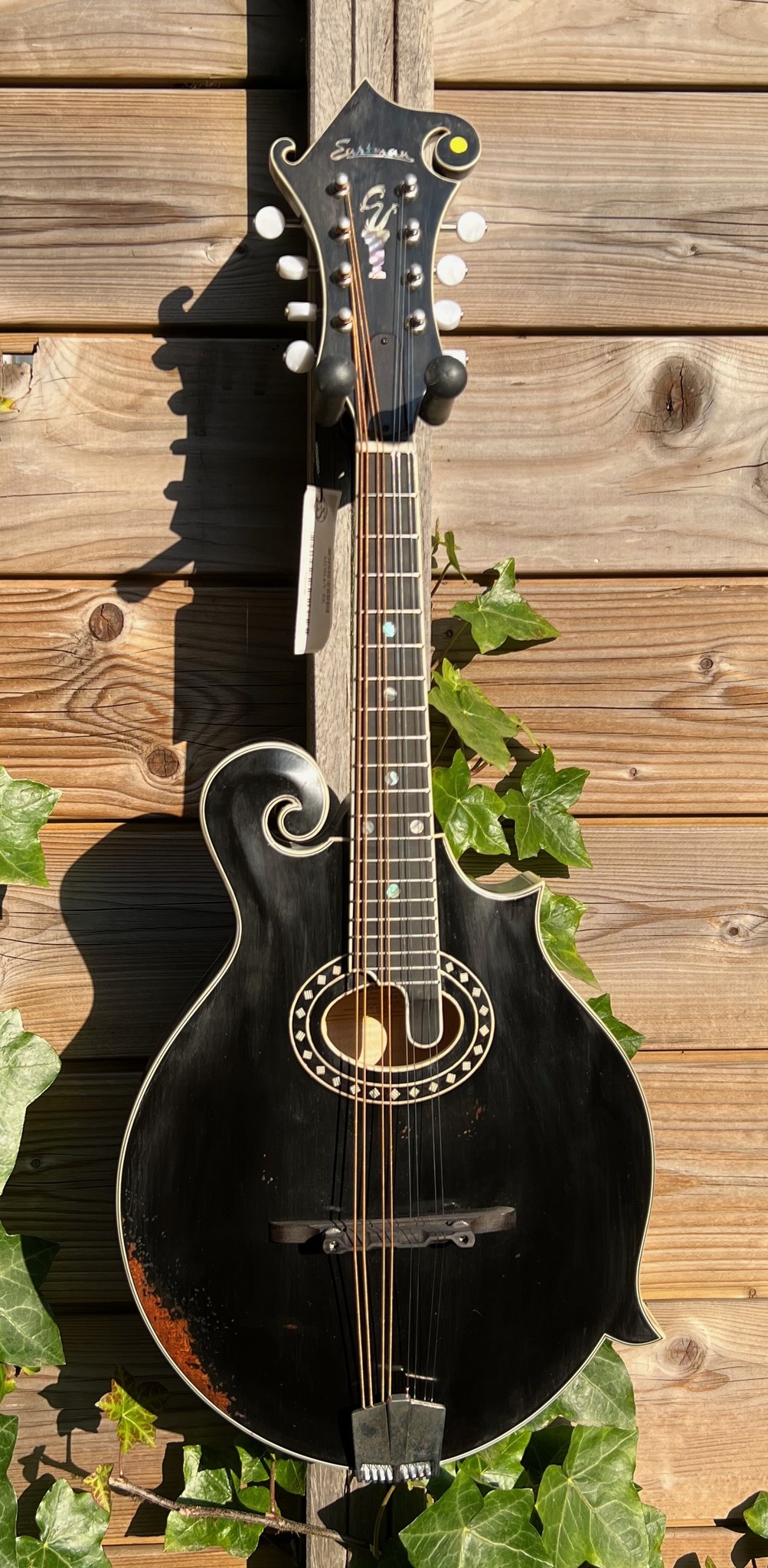 Eastman Eastman MD814/v-BK