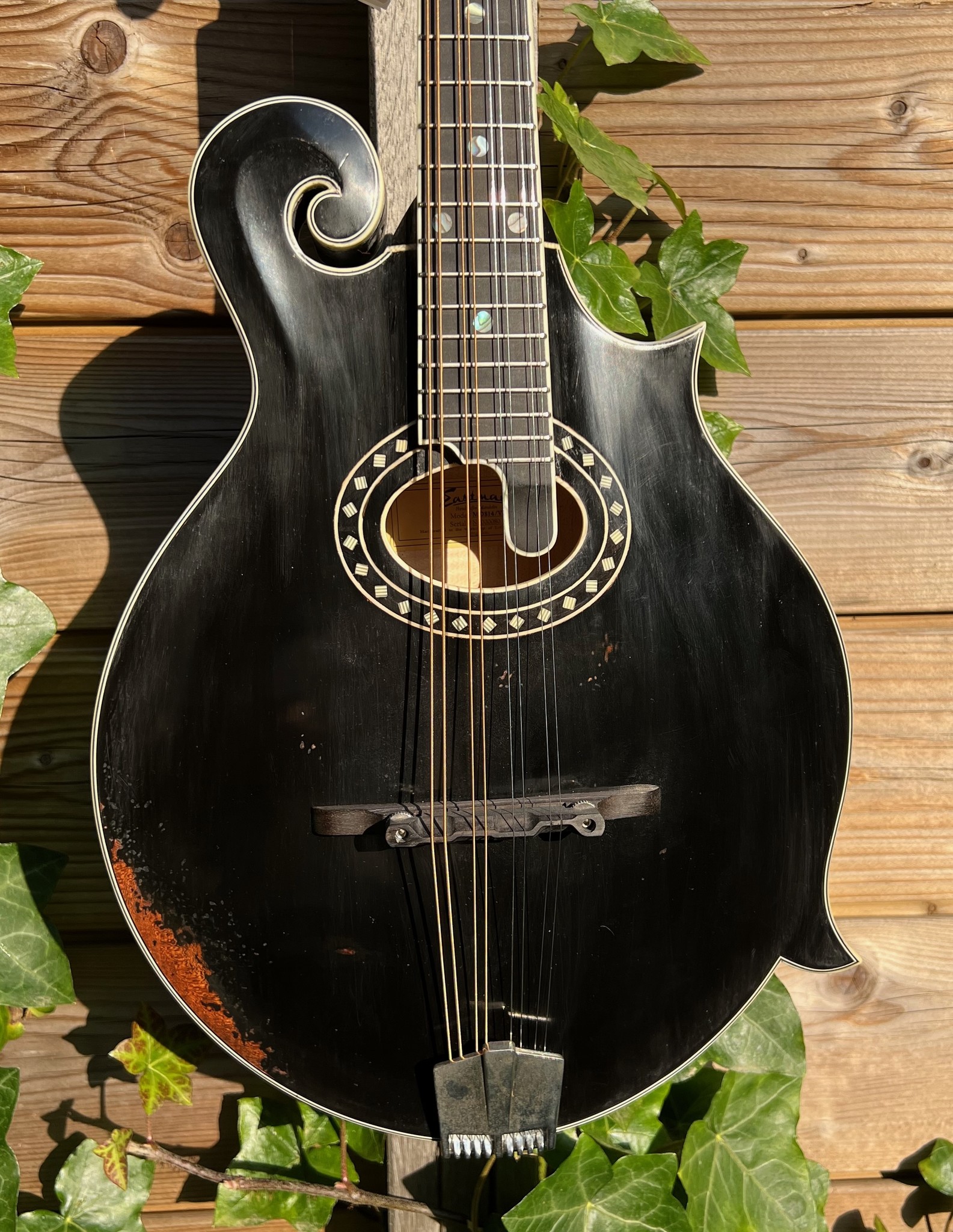 Eastman Eastman MD814/v-BK