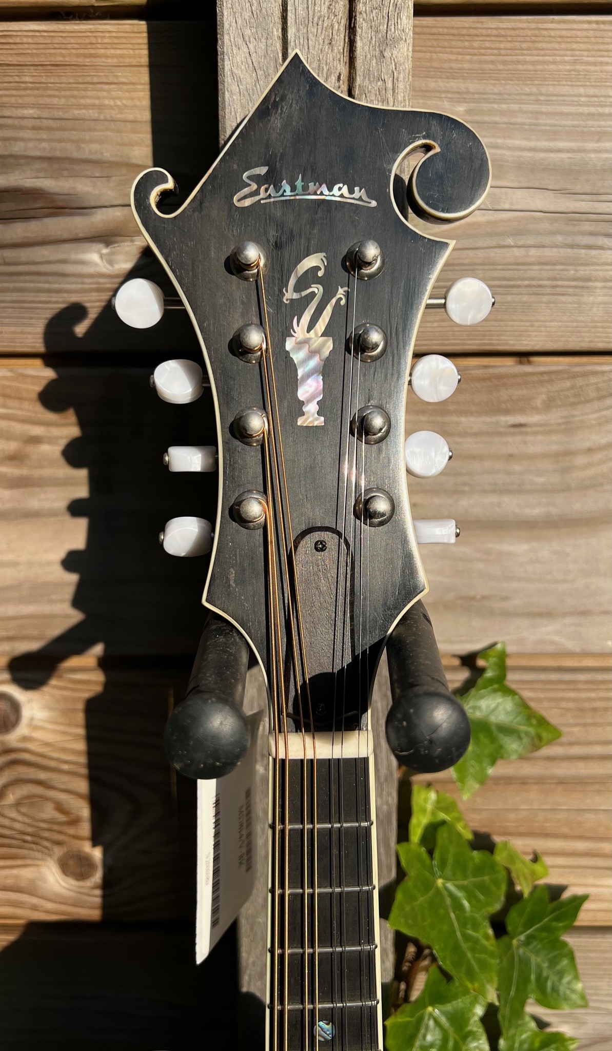 Eastman Eastman MD814/v-BK