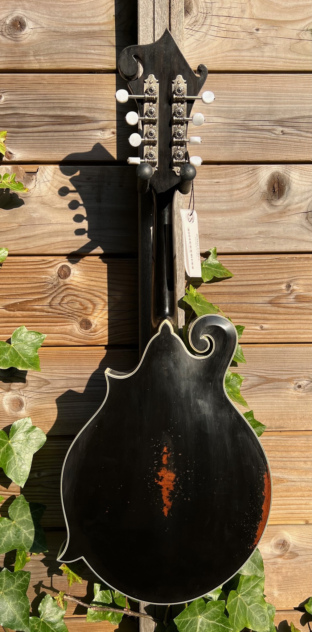 Eastman Eastman MD814/v-BK