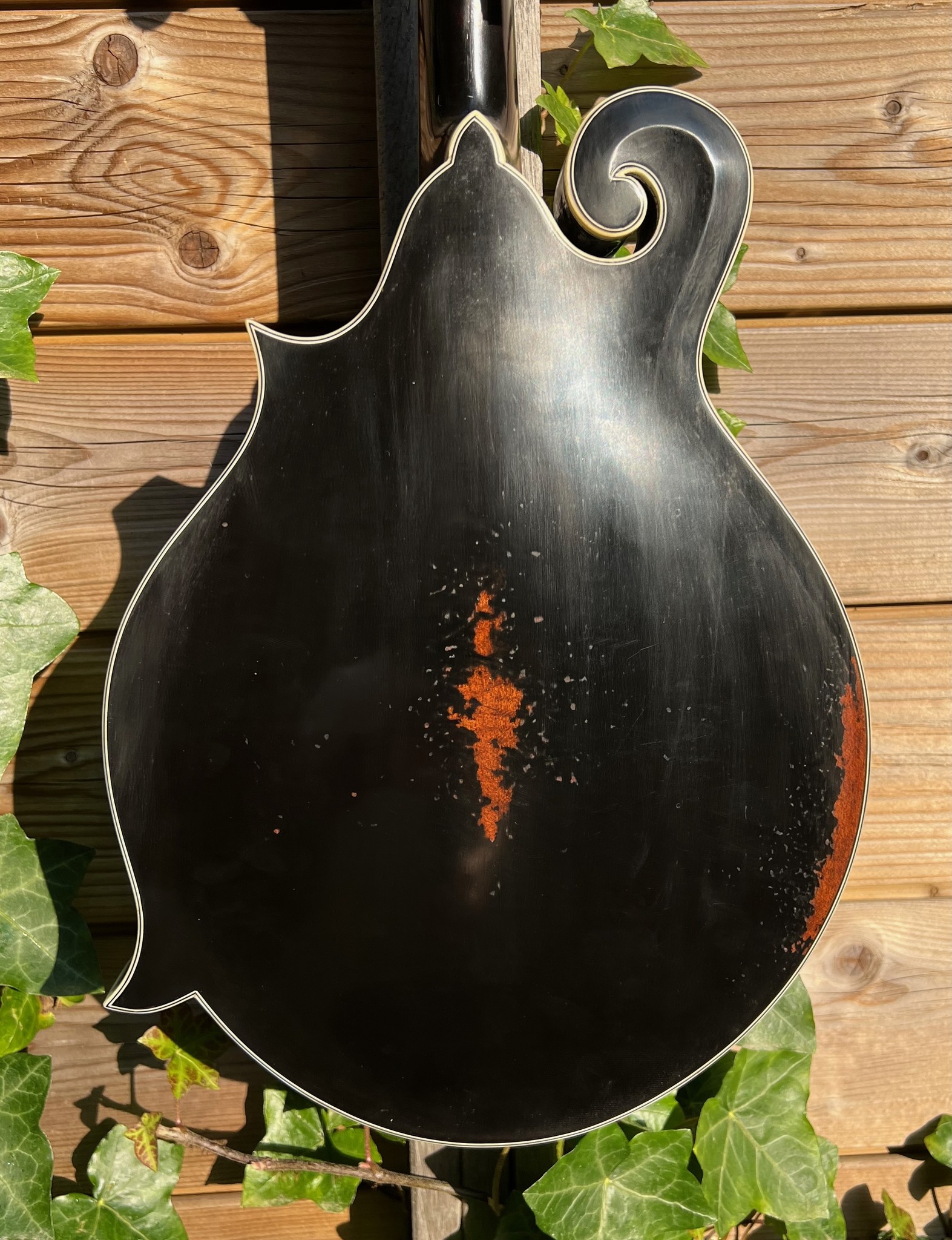 Eastman Eastman MD814/v-BK