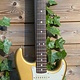 Fender Custom Shop 1965 Stratocaster NOS Aztec Gold
