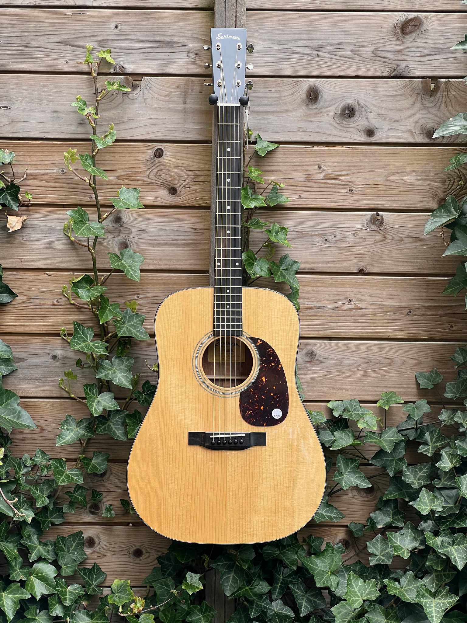 Eastman Eastman E10D-TC (#...248)