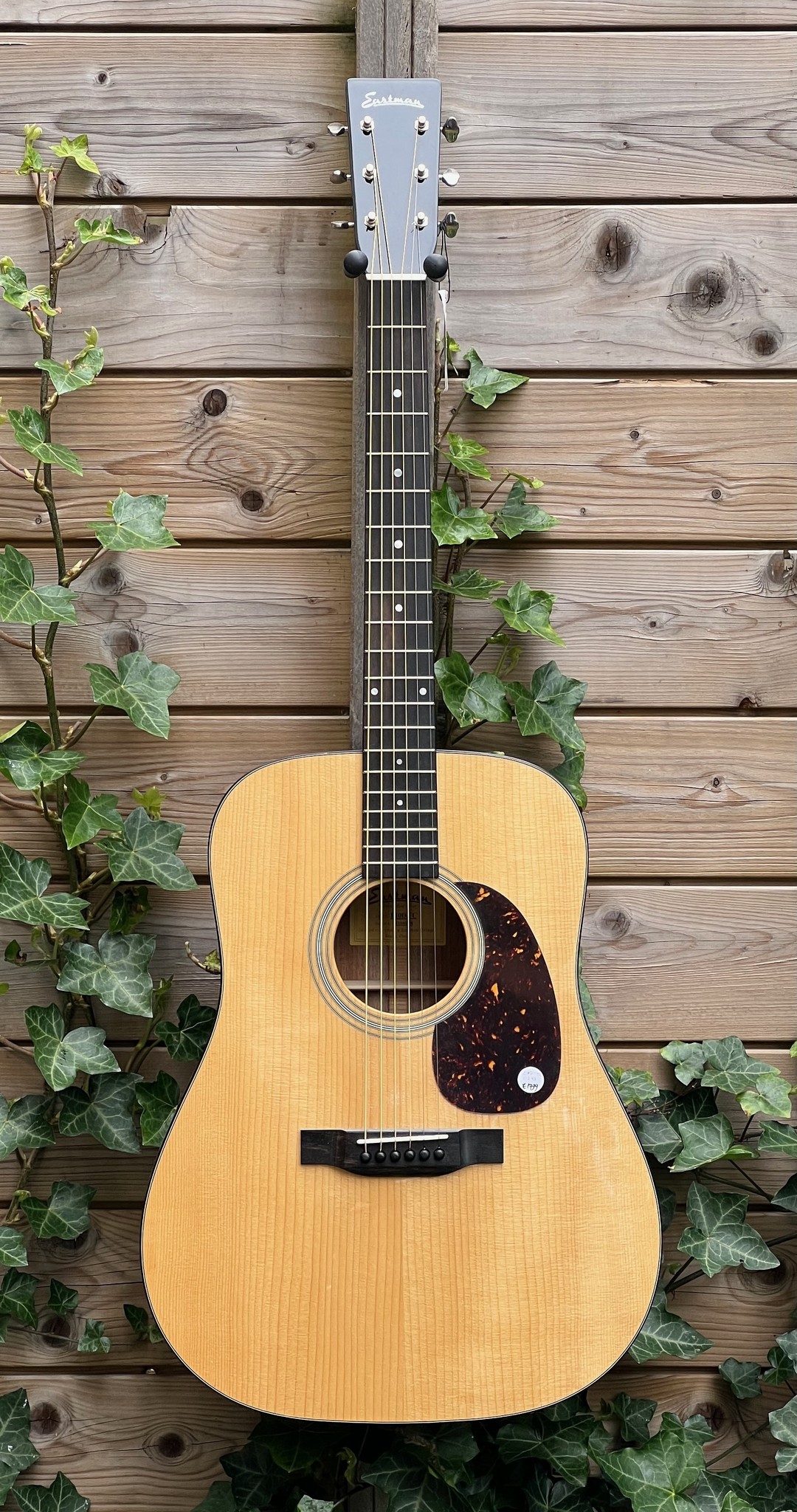 Eastman Eastman E10D-TC (#...248)