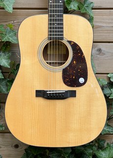 Eastman Eastman E10D-TC