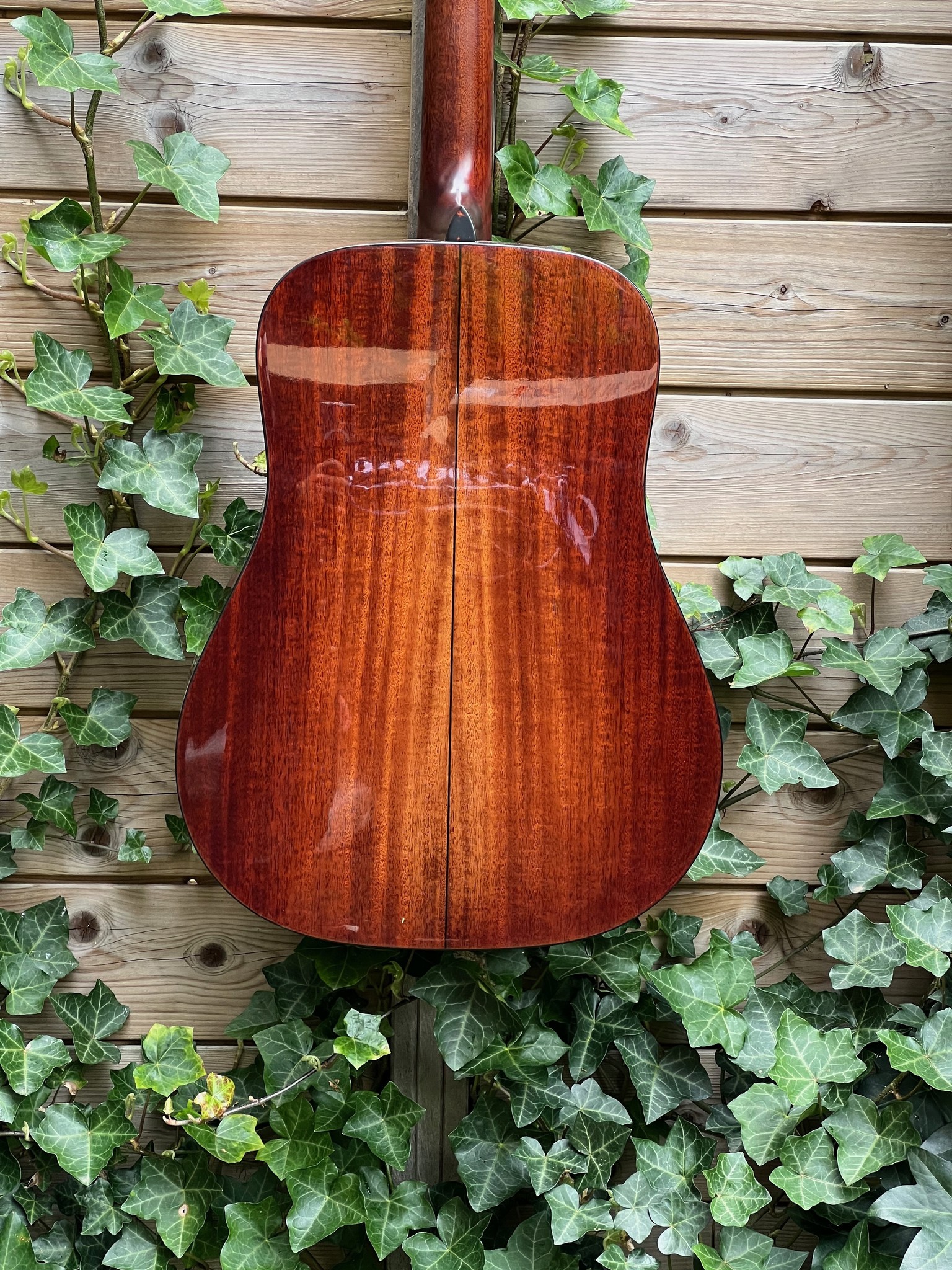 Eastman Eastman E10D-TC (#...248)